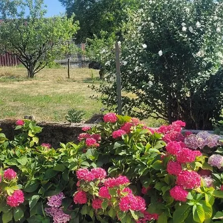 Apartamento Hortensias *